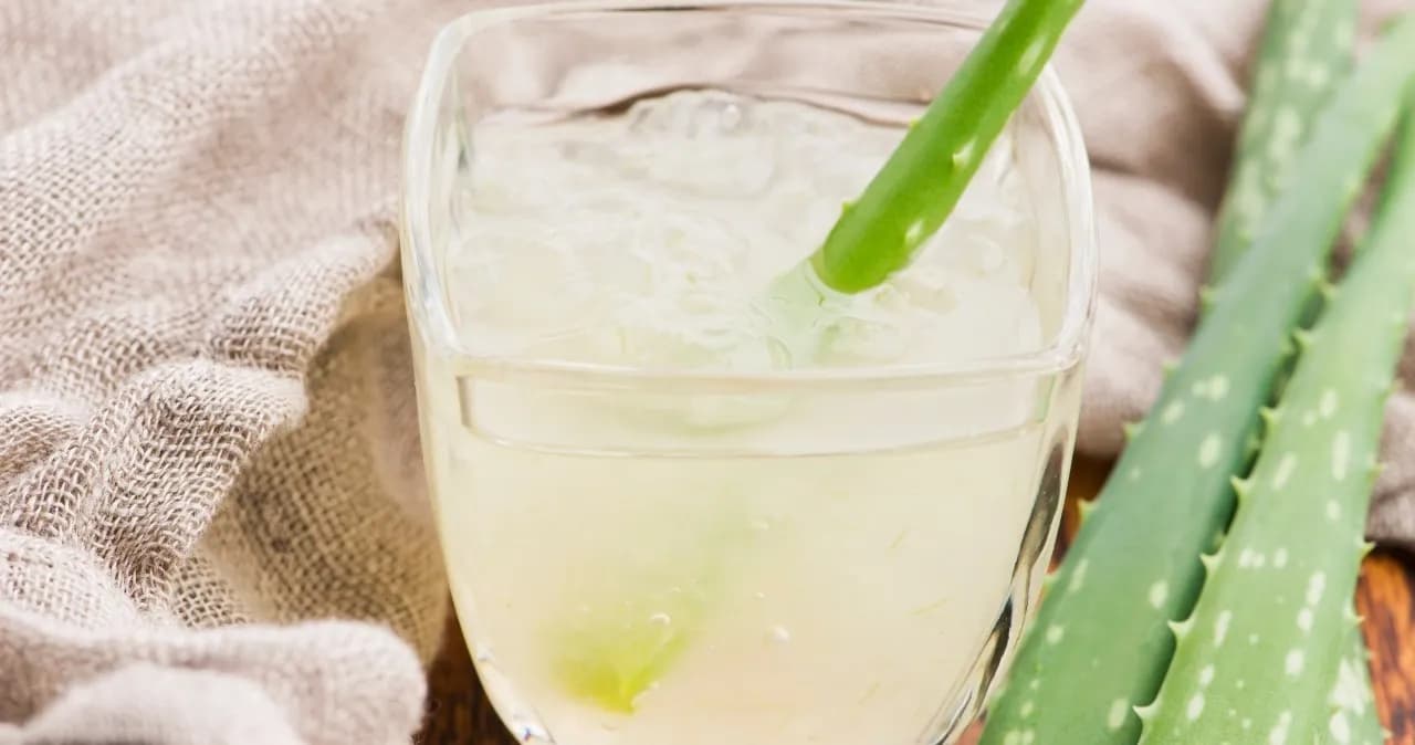 Jak napój aloesowy wspiera zdrowie i poprawia samopoczucie?
