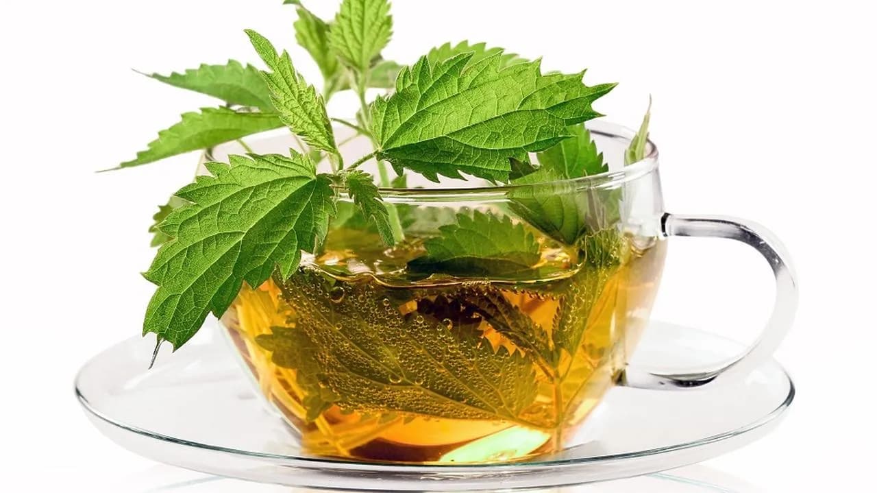 Herbata z pokrzywy jak często pić, by uniknąć negatywnych skutków
