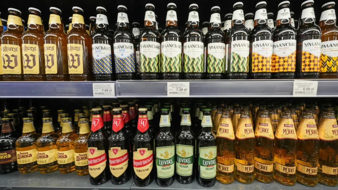 Jedno piwo ile promili? Sprawdź, czy nie przekroczysz limitu!