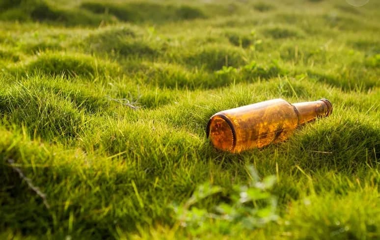 Ile kosztuje butelka zwrotna po piwie? Sprawdź kaucje w sklepach