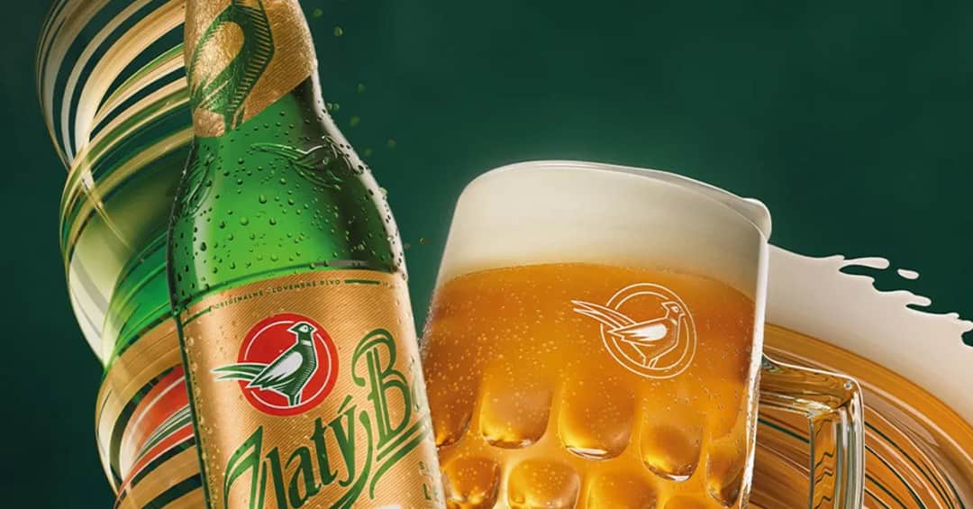 Gdzie kupić piwo Złoty Bażant w najlepszych cenach i promocjach?