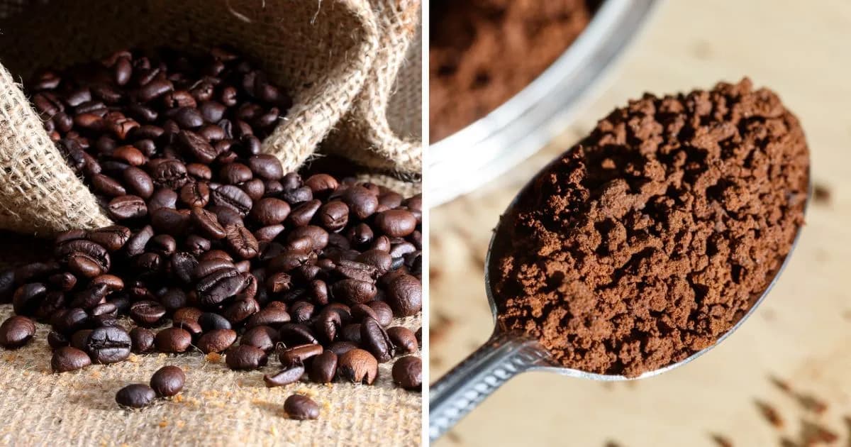 Czy kawa rozpuszczalna pobudza? Sprawdź jej wpływ na energię i koncentrację